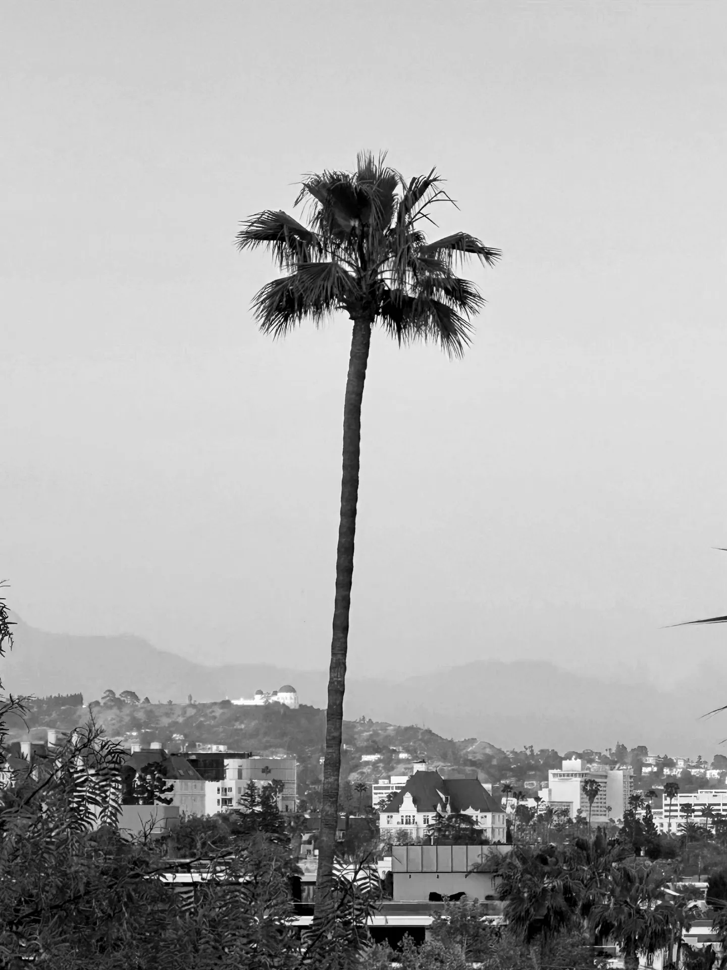 Alta Loma MGMT Sport, Radio & Entertainment Talent Agency